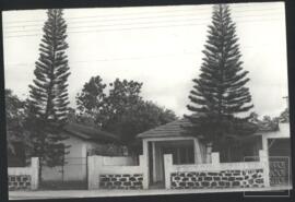 image 03