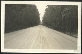 image 02