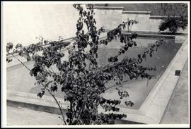 JSN.252