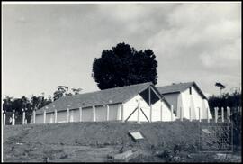 JSN.249