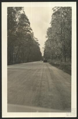image 01