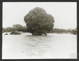 image 39