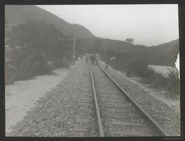image 35