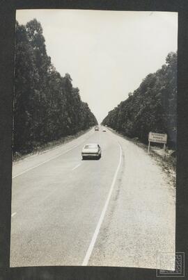 image 02