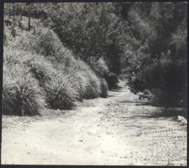 image 01