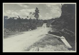 image 01