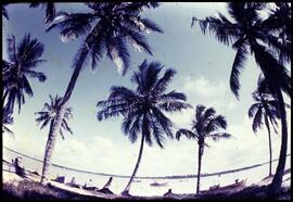 SLD.072