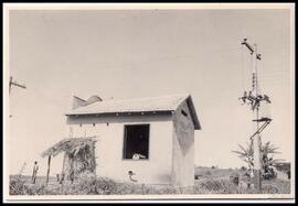 image 01
