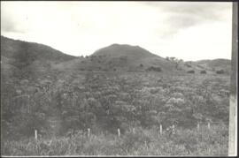 image 02
