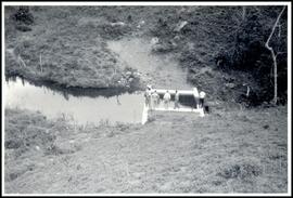 JSN.244