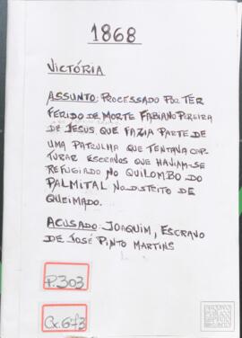 Inquérito Policial n° 303