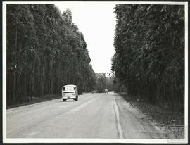 image 03