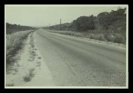 image 01